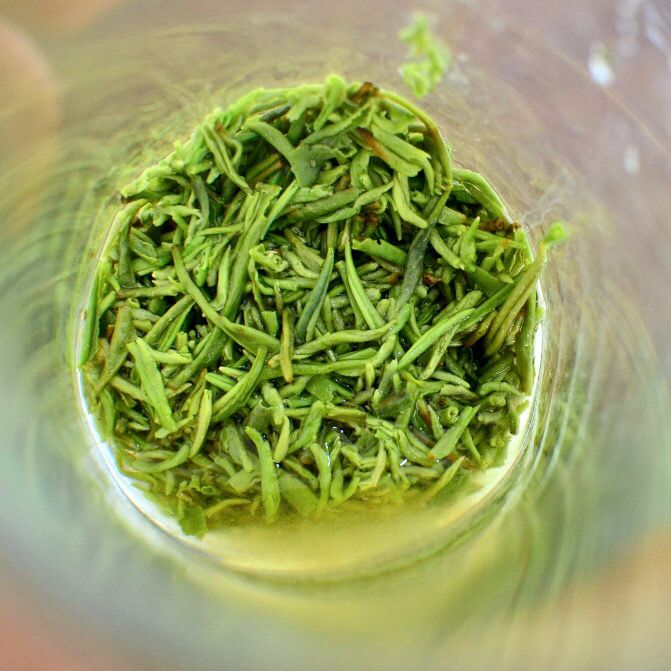 信阳毛尖明前春茶茶沫碎茶特级信阳毛尖嫩芽新茶断芽