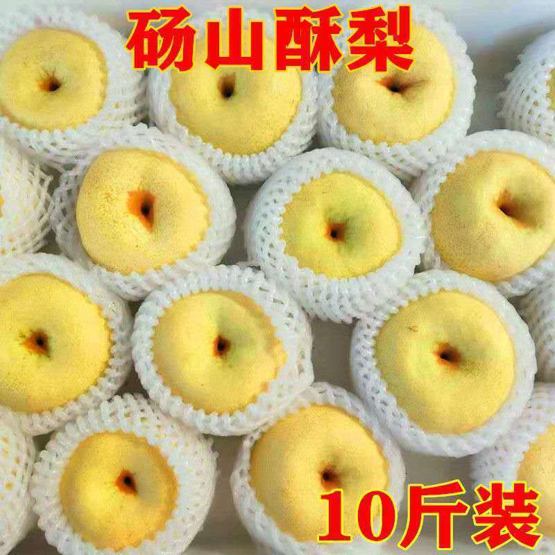 75709-砀山酥梨正宗百年梨树新鲜梨子包邮水果批发酥梨脆甜多汁止咳化痰-详情图