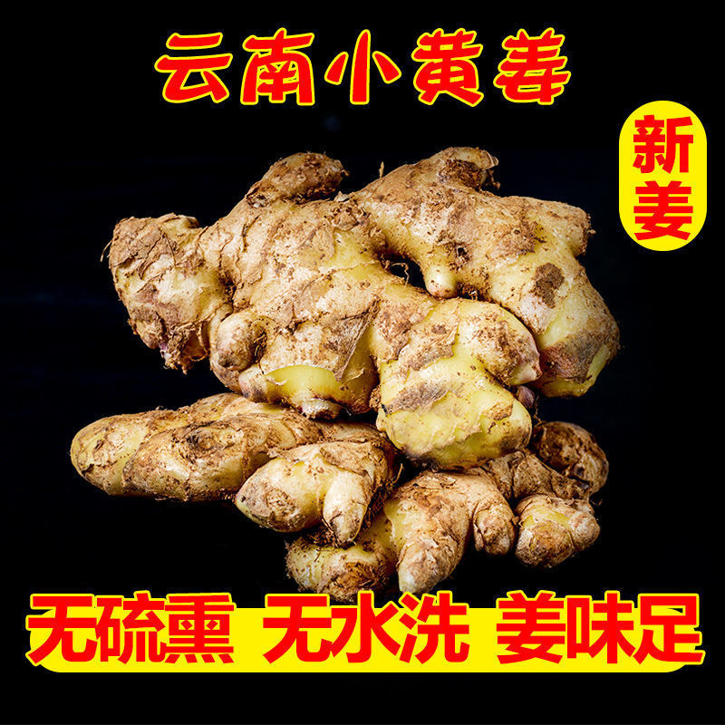 75850-2021年新鲜云南小黄姜生姜老姜新姜月子姜现挖生态山地姜整箱批发-详情图