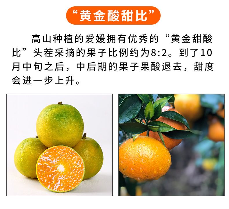 e1bd0767-2cf2-40ea-9f9e-cf3beb969744.jpeg