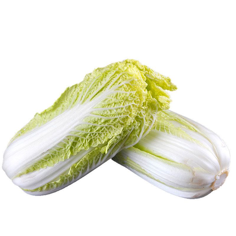 88765-新鲜蔬菜娃娃菜农家自种现砍现发黄心娃娃菜白菜四季大白菜特嫩脆-详情图