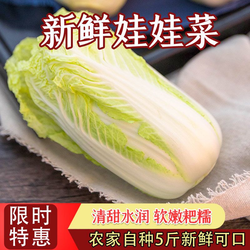88765-新鲜蔬菜娃娃菜农家自种现砍现发黄心娃娃菜白菜四季大白菜特嫩脆-详情图