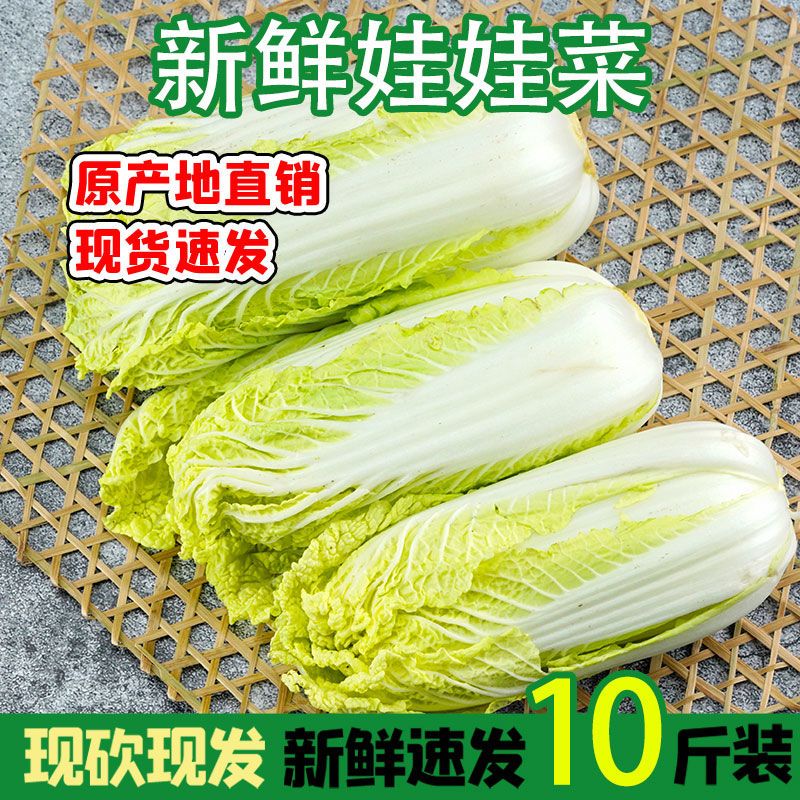 88765-新鲜蔬菜娃娃菜农家自种现砍现发黄心娃娃菜白菜四季大白菜特嫩脆-详情图