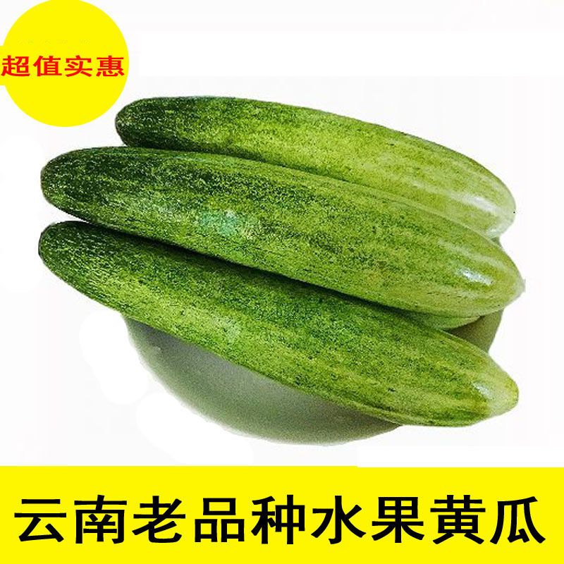 75810-农家自种老品种黄瓜旱黄瓜水果黄瓜云南当季新鲜蔬菜无刺黄瓜生吃-详情图