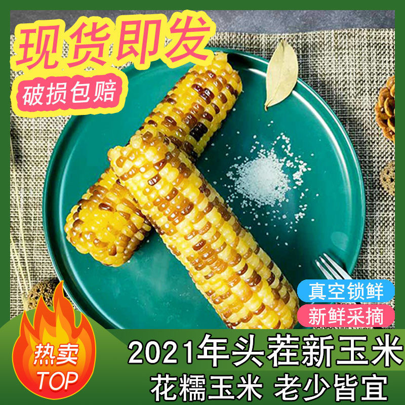 88833-新鲜东北花糯玉米现摘软糯即食甜糯苞米真空包装-详情图