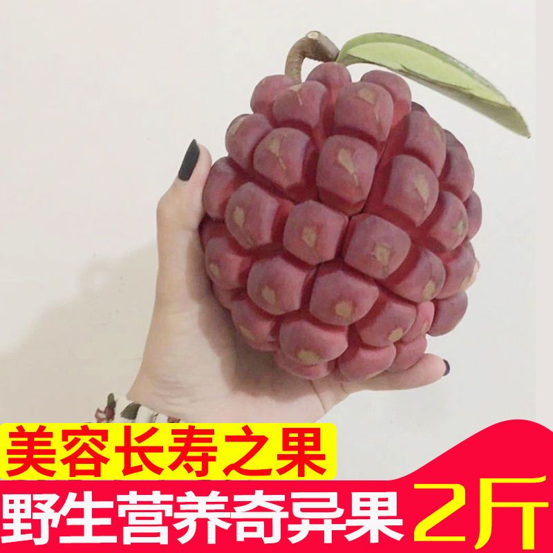 黑老虎水果新鲜布福娜果野生大血藤果冷饭团恶魔果实稀有罕见水果