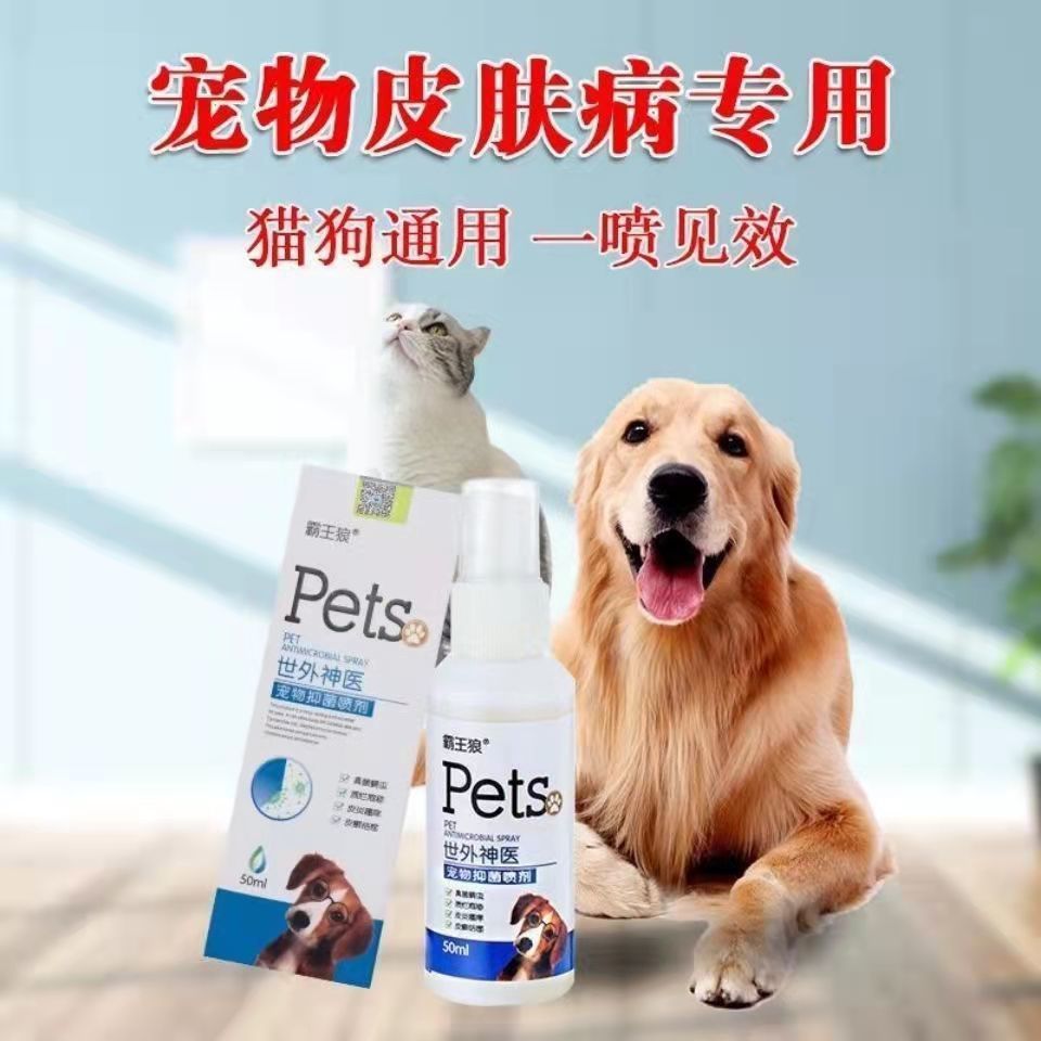 狗狗真菌感染用什么药图片