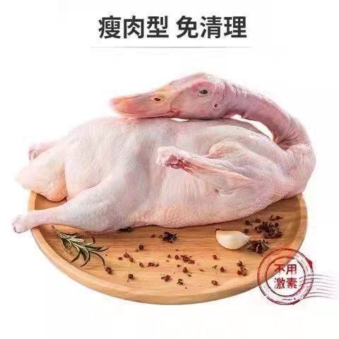 105883-【买1送1】农村散养土鸭麻鸭整只新鲜鸭肉鲜鸭子笨鸭水鸭鸭血-详情图