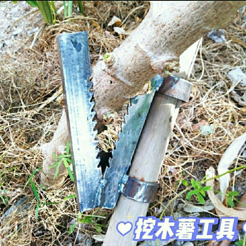新型挖木薯夹省力快速拨木薯神器拨棉花杆烟杆拨农作物杆专用农具