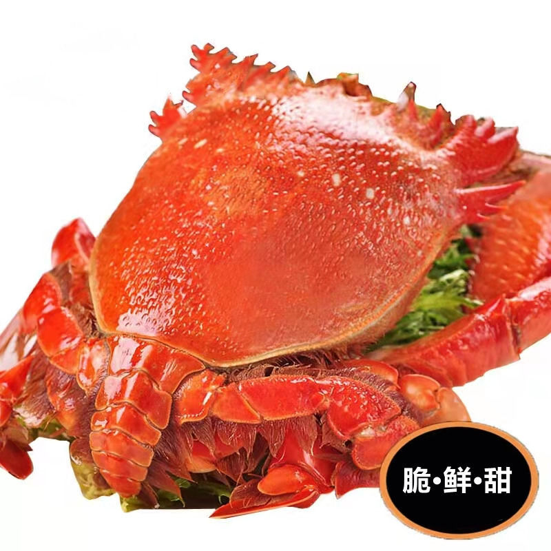 老虎蟹 贵妃蟹 旭蟹 咖啡蟹 活冻超大公母蛙蟹 特大红螃蟹2斤特惠