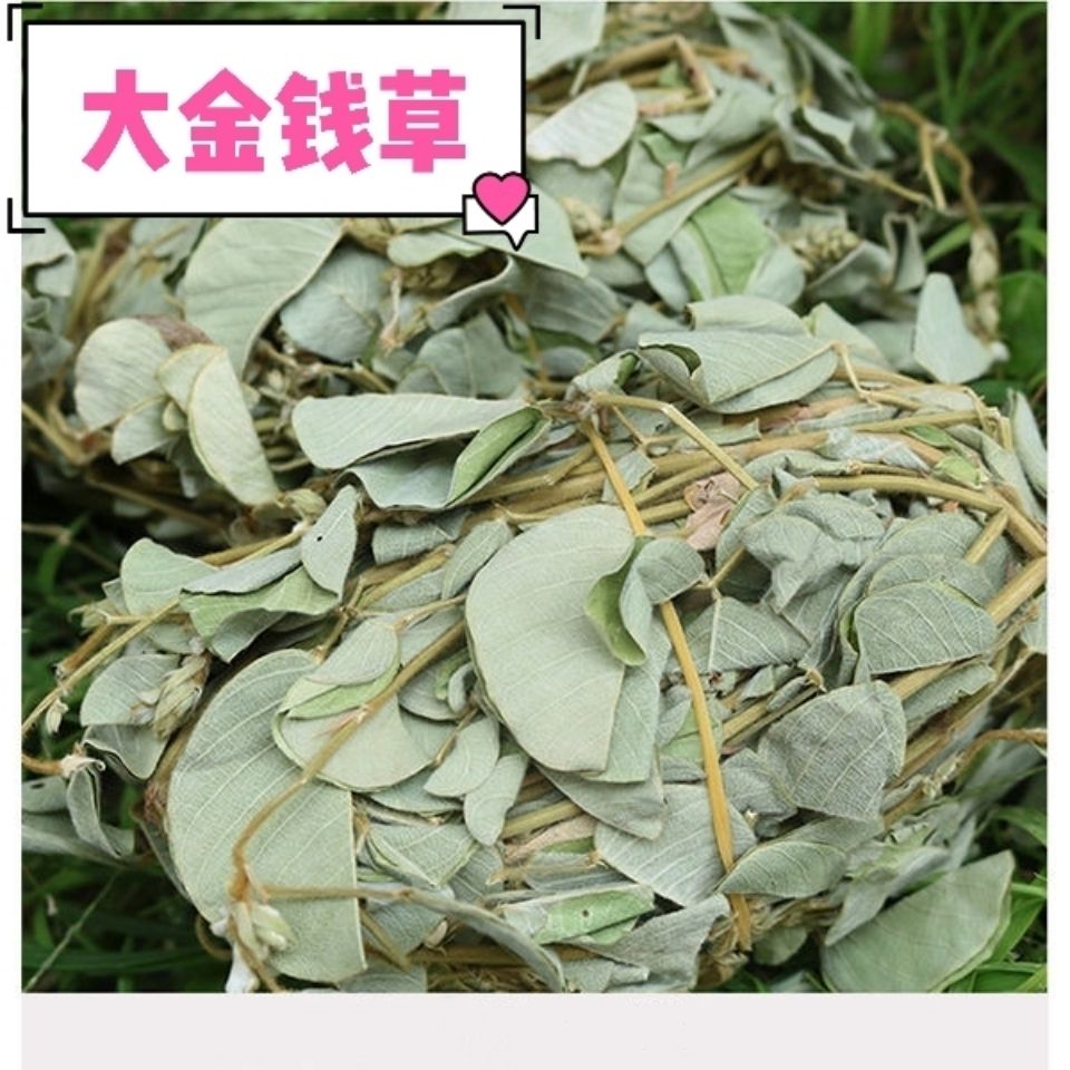 大金钱草野生广金钱草大叶金钱草中草药材正品500克g有小金钱草茶