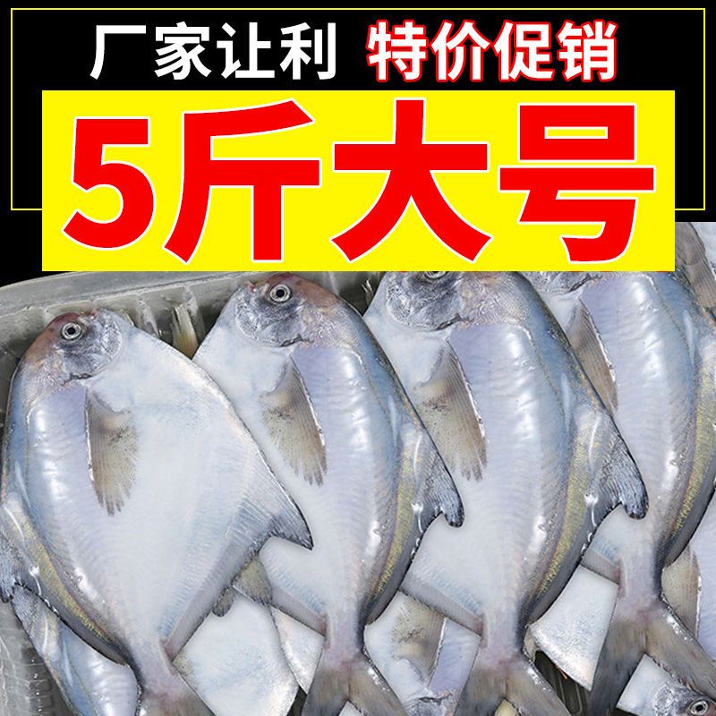特价中】野生大银鲳鱼海鲜水产新鲜白鲳鱼鲜活冷冻海鱼平鱼批发_虎窝拼