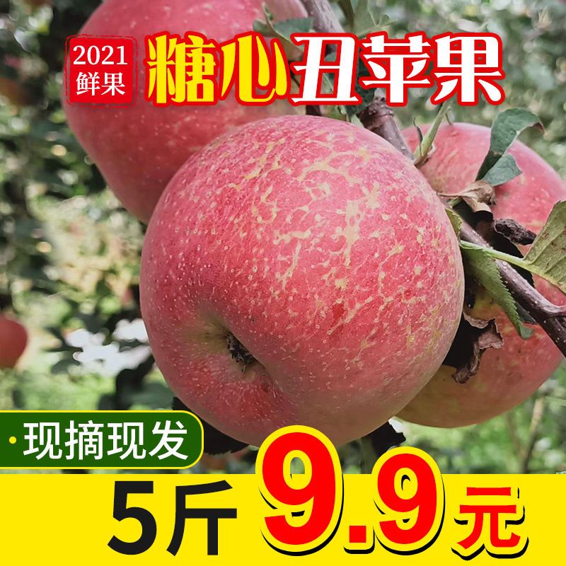 88757-【大凉山冰糖心丑苹果】红富士苹果水果新鲜脆甜整箱批发3/5/10斤-详情图