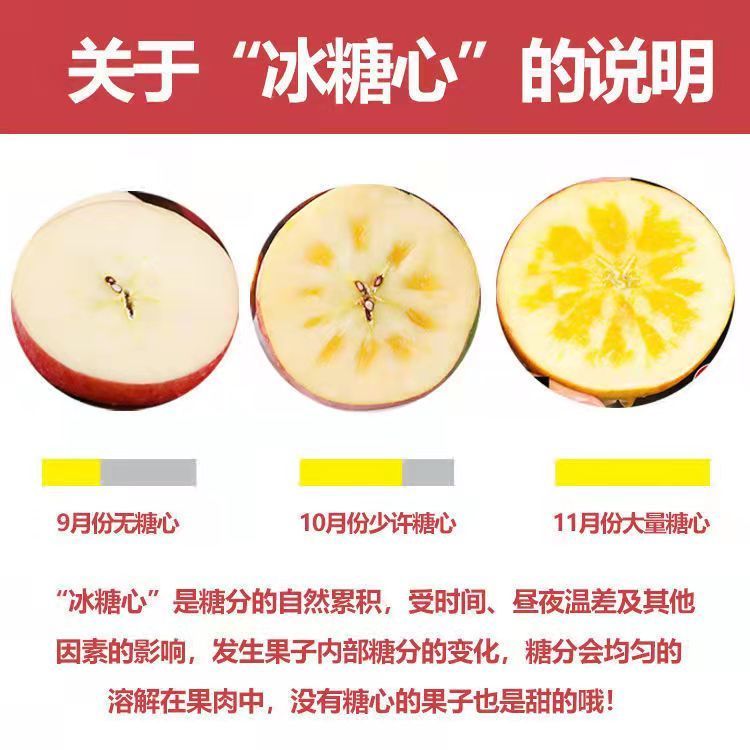88757-【大凉山冰糖心丑苹果】红富士苹果水果新鲜脆甜整箱批发3/5/10斤-详情图
