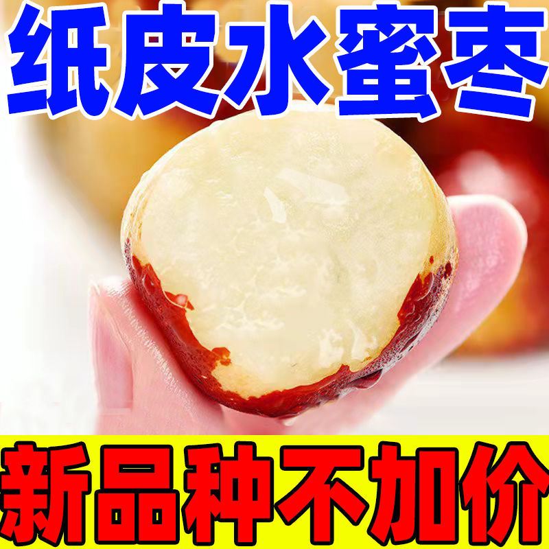 105933-【爆脆】人工精选冬枣新鲜5斤当季沾化枣子特级大枣脆枣水果批发-详情图