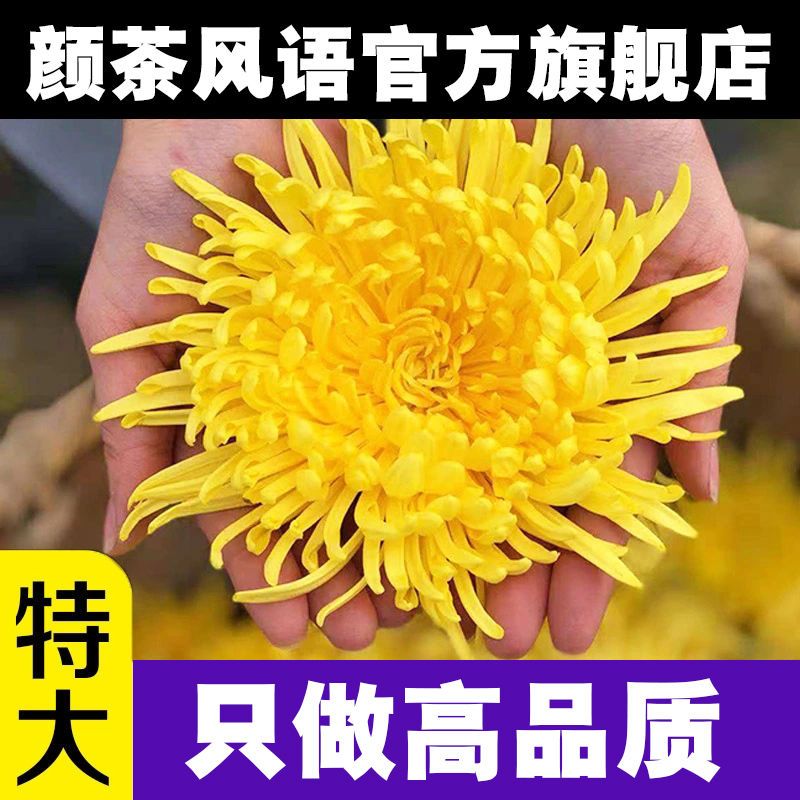 91525-正品茶叶菊花草茶特级金丝皇菊大朵菊花茶 30朵/盒优选泡水泡茶大-详情图