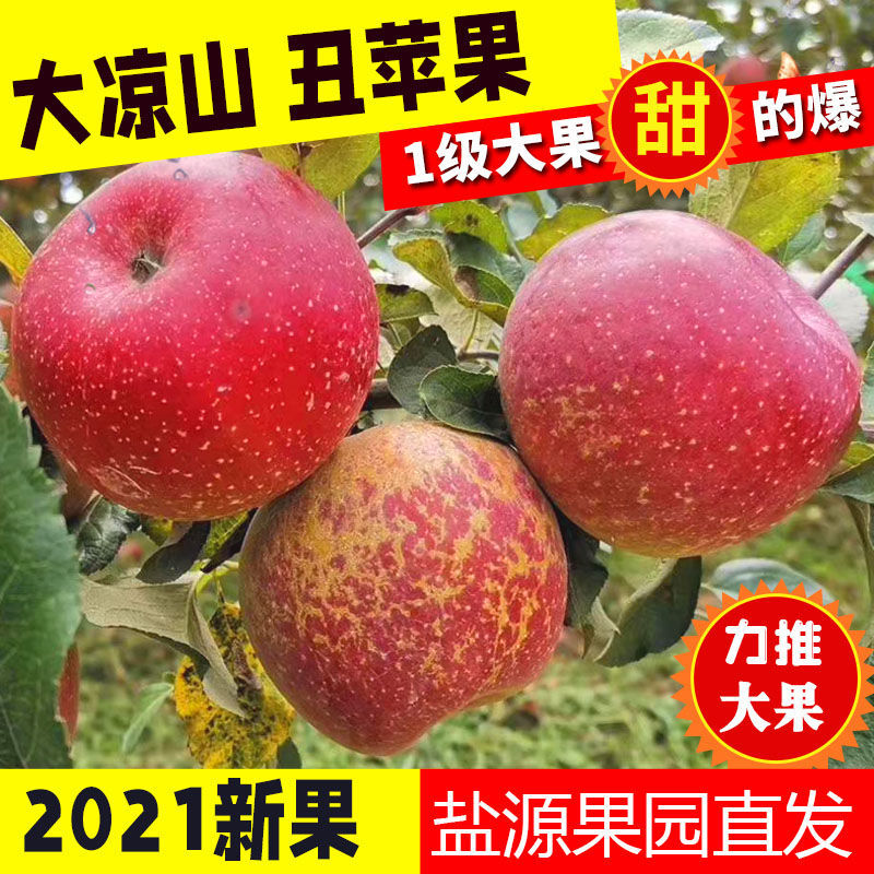 88757-【大凉山冰糖心丑苹果】红富士苹果水果新鲜脆甜整箱批发3/5/10斤-详情图