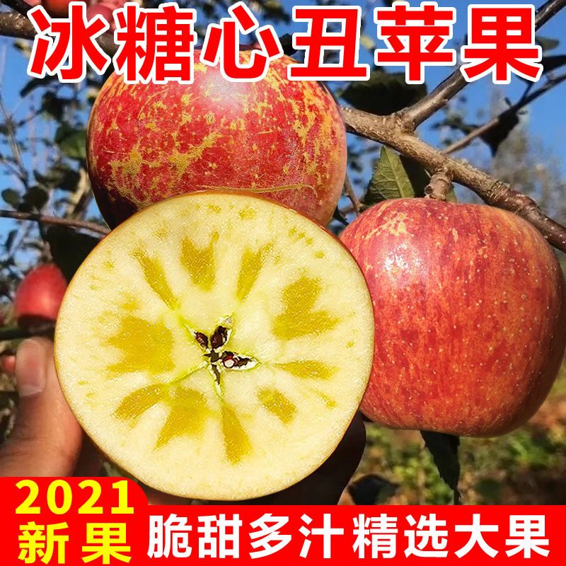 88757-【大凉山冰糖心丑苹果】红富士苹果水果新鲜脆甜整箱批发3/5/10斤-详情图