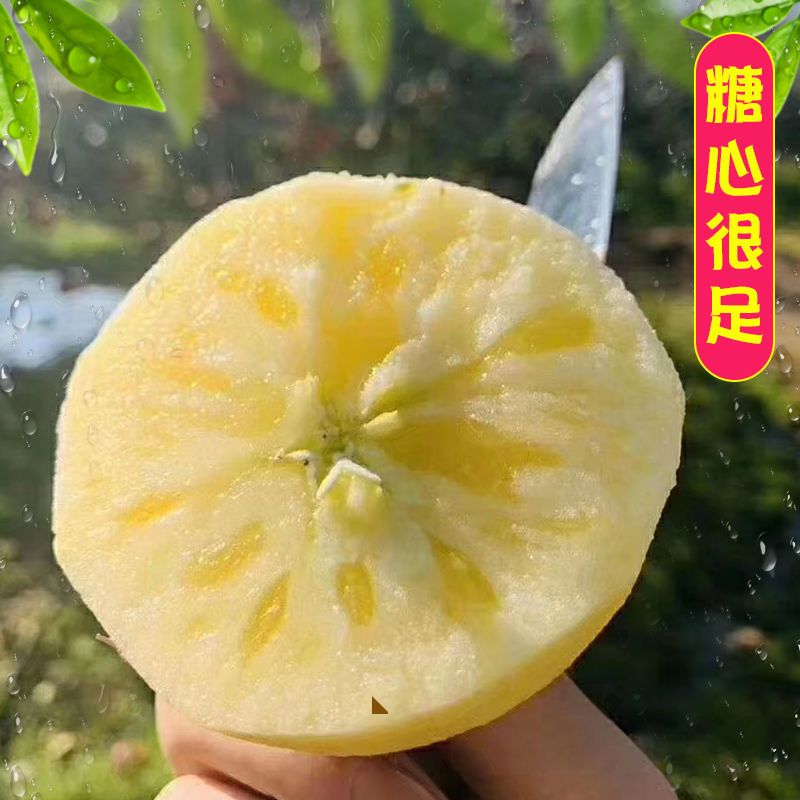 88757-【大凉山冰糖心丑苹果】红富士苹果水果新鲜脆甜整箱批发3/5/10斤-详情图