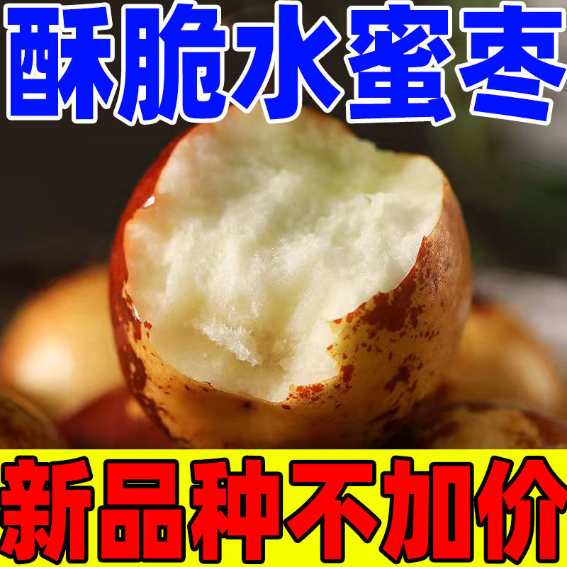 105933-【爆脆】人工精选冬枣新鲜5斤当季沾化枣子特级大枣脆枣水果批发-详情图