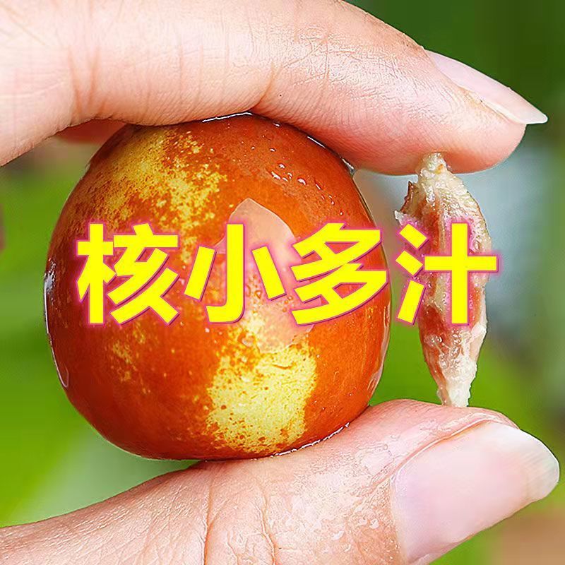 105933-【爆脆】人工精选冬枣新鲜5斤当季沾化枣子特级大枣脆枣水果批发-详情图