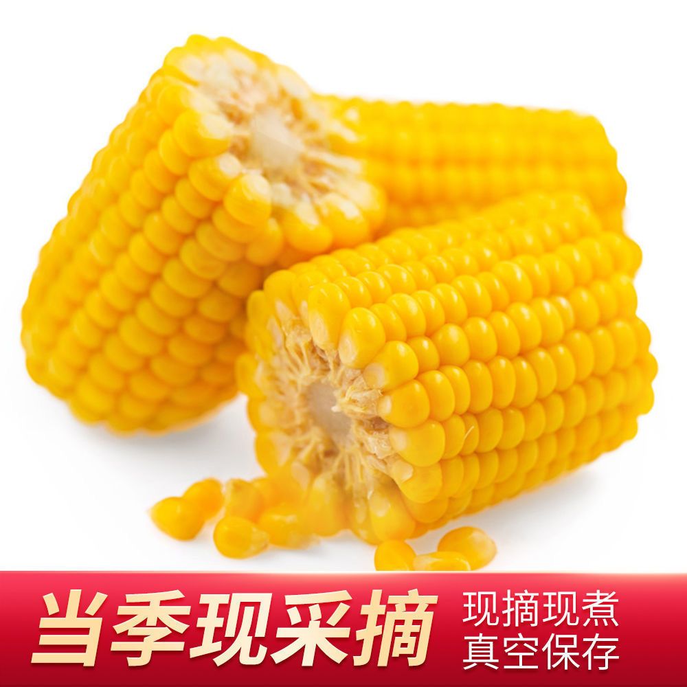 105931-正宗山西黄糯玉棒真空包装白糯玉米早餐代餐即食粘玉米熟黏玉米-详情图