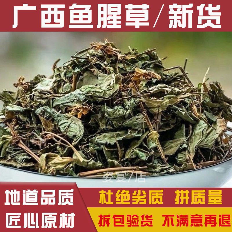 鱼腥草干中草材折耳草 鱼腥草中药材干货新鲜晒干广西鱼腥草500g
