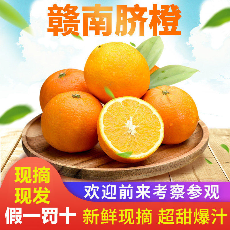 106082-【赣州直发】现摘正宗江西赣南早赣南脐橙孕妇儿童水果新鲜橙子-详情图