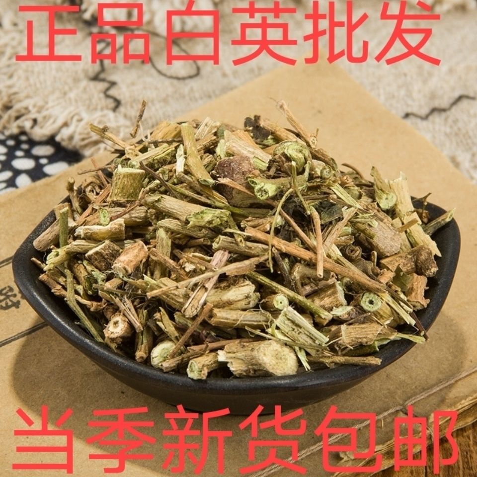 正品白英 中药材白英草 毛秀才 葫芦草 白毛藤 蜀羊泉 毛风藤包邮