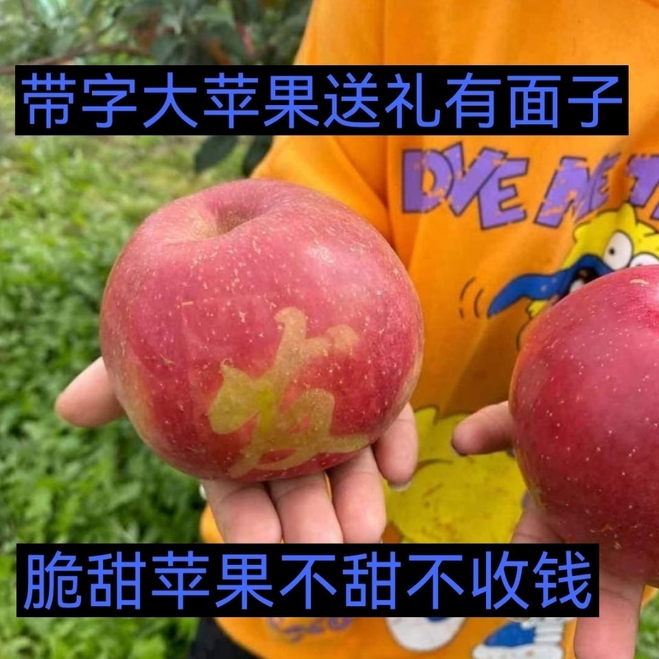 88820-东北寒富甜苹果雪地红果东北水果果园直达现采现发脆甜苹果-详情图