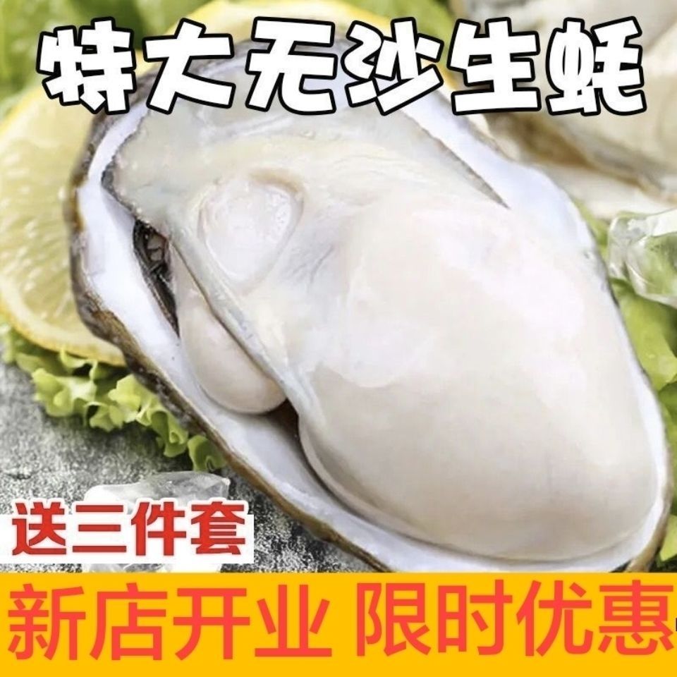 生蚝批发乳山生蚝鲜活野生贝类特大生蚝新鲜牡蛎海蛎子海鲜水产