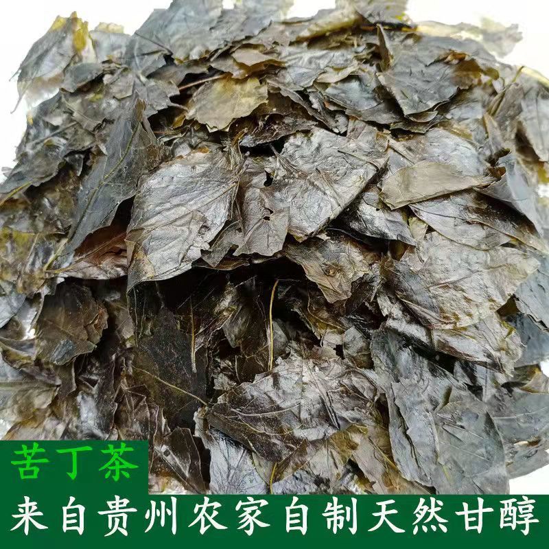 老叶苦丁茶四川宜宾苦丁茶农家茶叶苦丁茶老叶子苦丁茶洗头苦丁茶