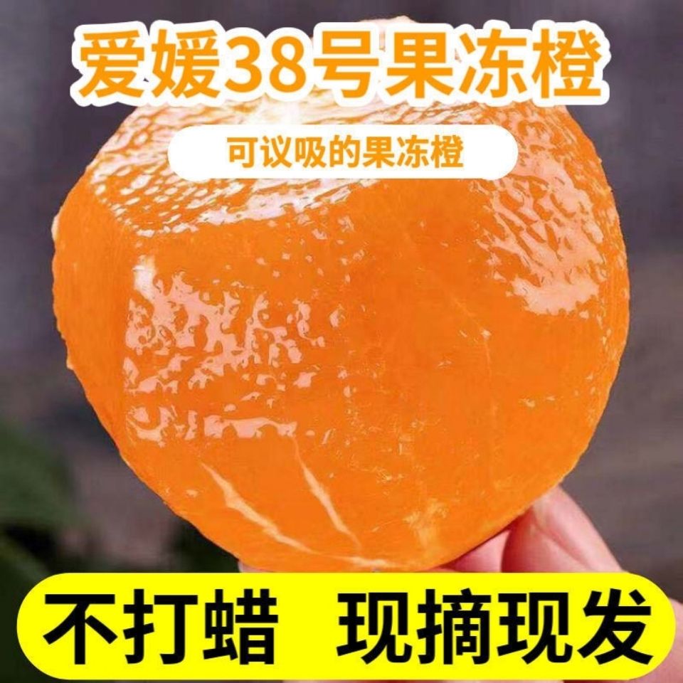 91657-正宗四川爱源果冻橙38号眉山新鲜现摘当季水果甜橙子柑橘整箱包邮-详情图