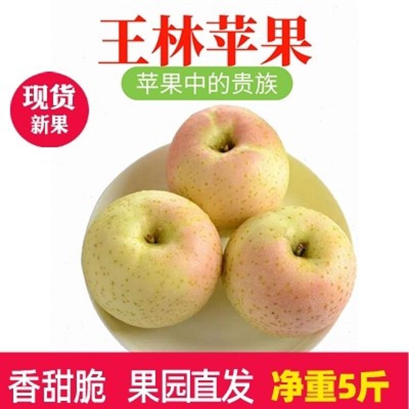 大连王林苹果新鲜水果水蜜桃苹果非富士甜苹果正宗王林苹果
