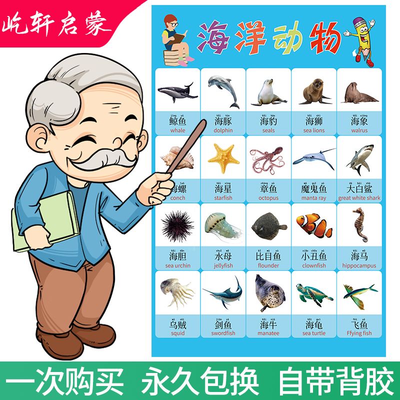 宝宝挂图早教海洋动动易学认识字拼音字母表墙贴学习神器智玩具