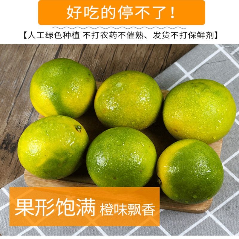88846-云南高山冰糖橙当季橙子孕妇水果新鲜超甜橙子10斤正宗冰糖橙手剥-详情图