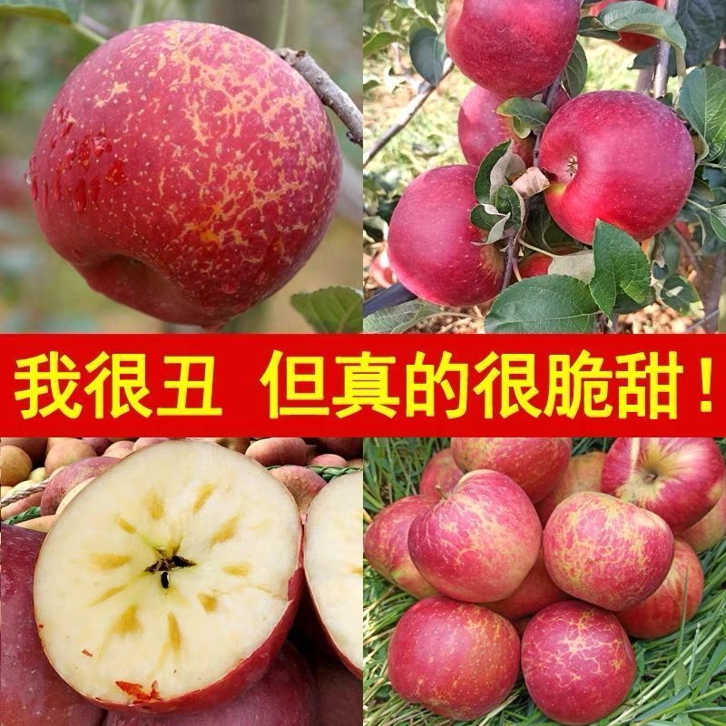88738-【正宗大凉山冰糖心丑苹果富士特级大果新鲜整箱10斤非阿克苏苹果-详情图