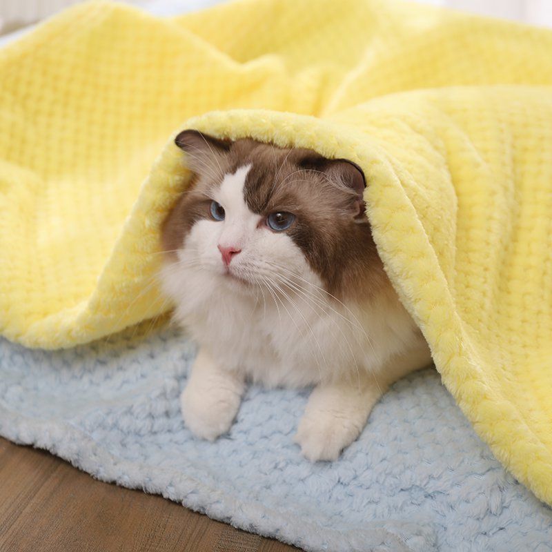 Dog mat pet blanket cat mat winter kennel cat kennel Teddy gold wool blanket cushion quilt supplies