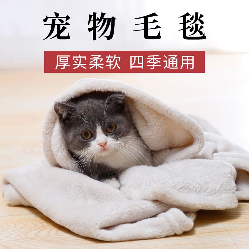 Dog mat pet blanket cat mat winter kennel cat kennel Teddy gold wool blanket cushion quilt supplies