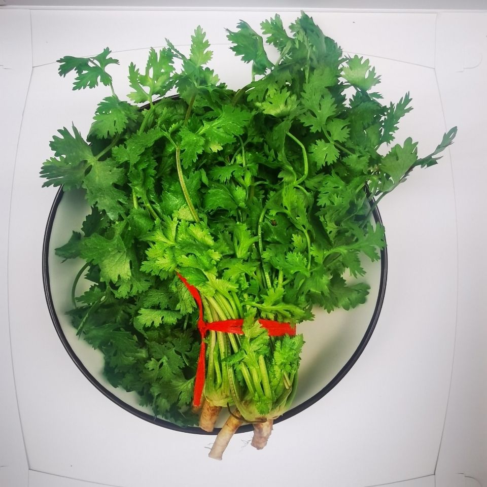 芫荽 香菜农家自种小香菜 矮脚趴地香菜带根微泥餐饮采购量大价优【2