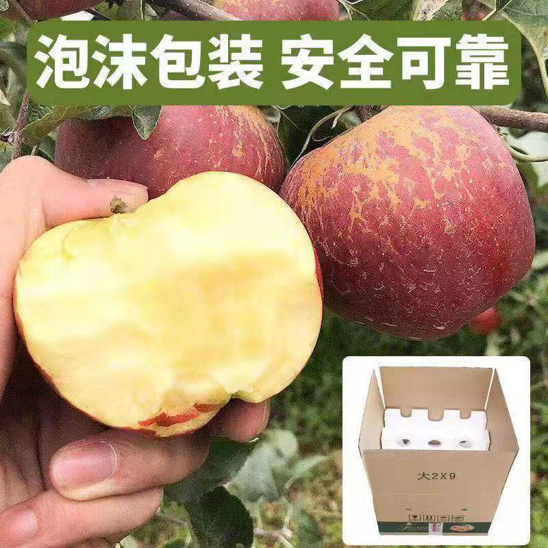 88738-【正宗大凉山冰糖心丑苹果富士特级大果新鲜整箱10斤非阿克苏苹果-详情图
