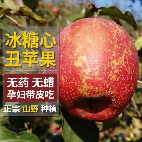 88738-【正宗大凉山冰糖心丑苹果富士特级大果新鲜整箱10斤非阿克苏苹果-详情图