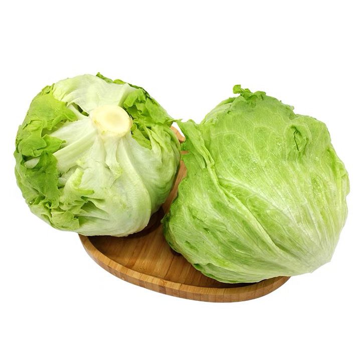 球生菜汉堡用圆形生菜新鲜蔬菜轻食沙拉材料色拉菜