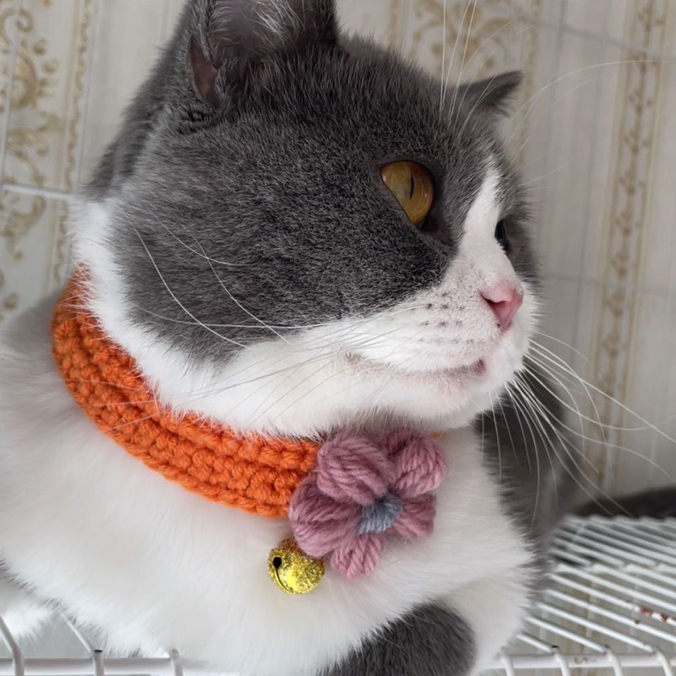 宠物猫咪项圈可爱轻巧柔软舒适布偶英短蓝猫围脖项圈手工针织饰品
