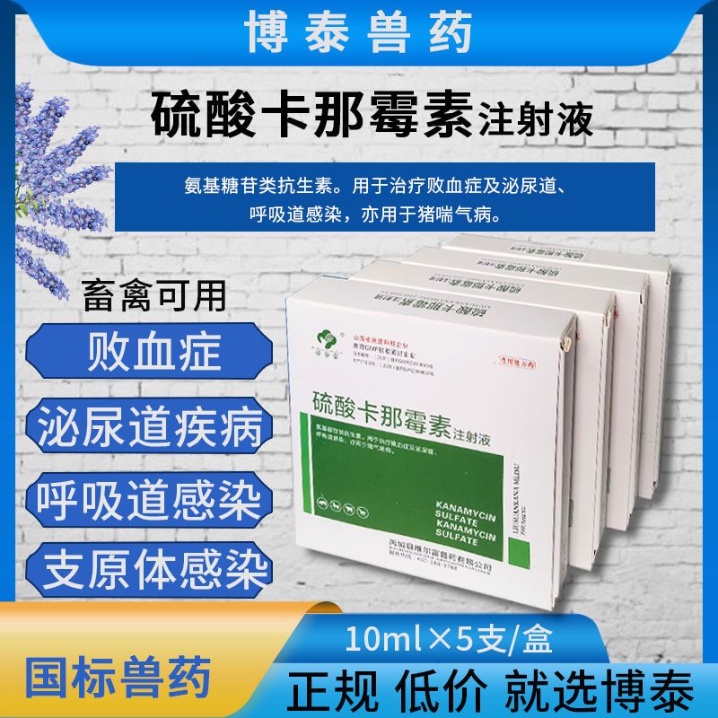 兽药硫酸卡那霉素注射液兽用猪药牛羊犬猫兔宠物禽咳喘气支气管炎