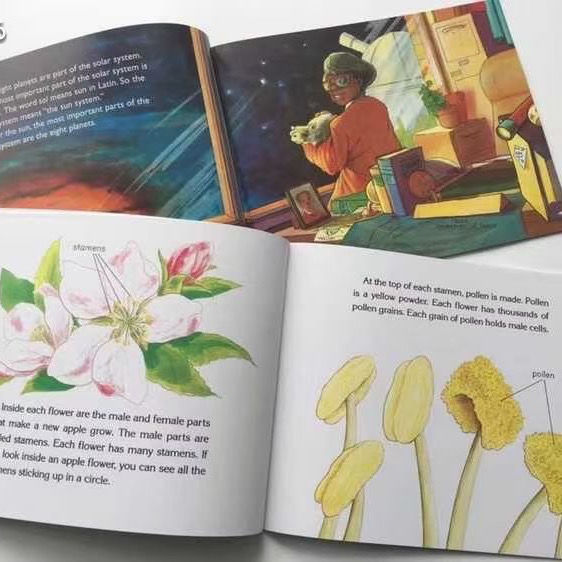 新製品情報も満載 Let's 118冊 science out find and read - 洋書