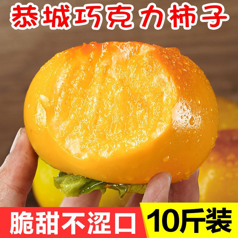 88861-广西恭城脆柿子水果新鲜应季巧克力脆甜硬柿子一整箱批发3/5/10斤-详情图