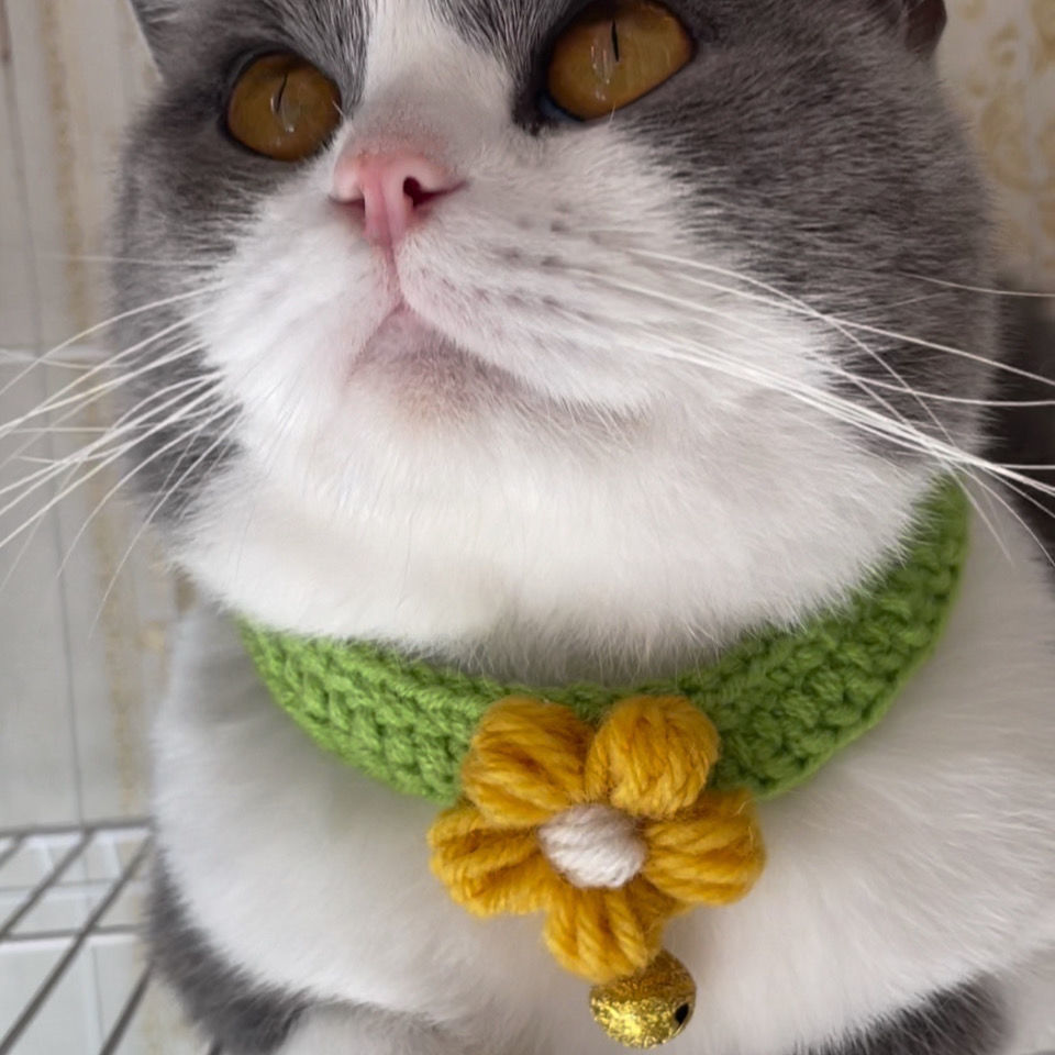 宠物猫咪项圈可爱轻巧柔软舒适布偶英短蓝猫围脖项圈手工针织饰品