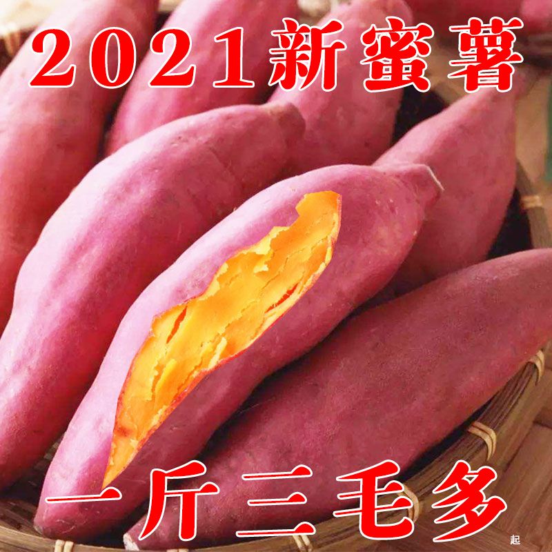 88773-西瓜红番薯沙地现挖新鲜蜜薯红薯板栗薯地瓜农家自种批发软糯香甜-详情图