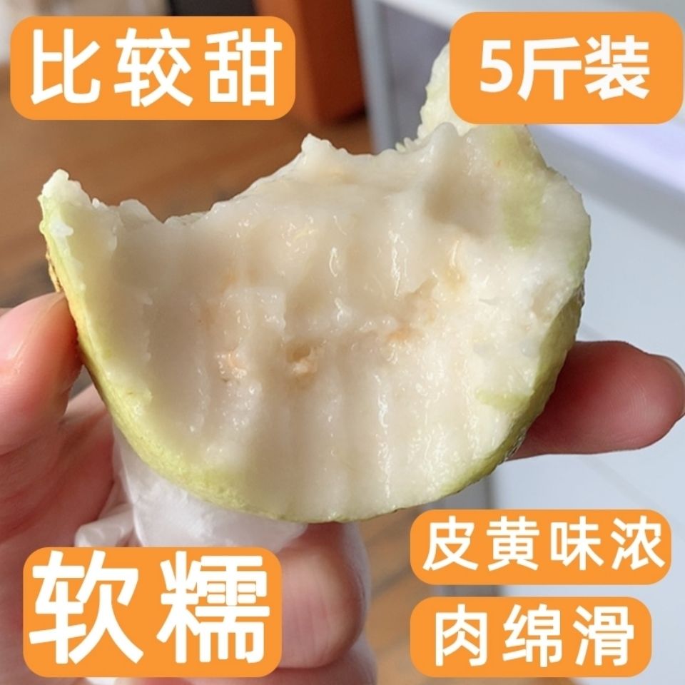 【软糯香】广西正宗软心芭乐番石榴白心奶油黄金芭乐新鲜应季水果